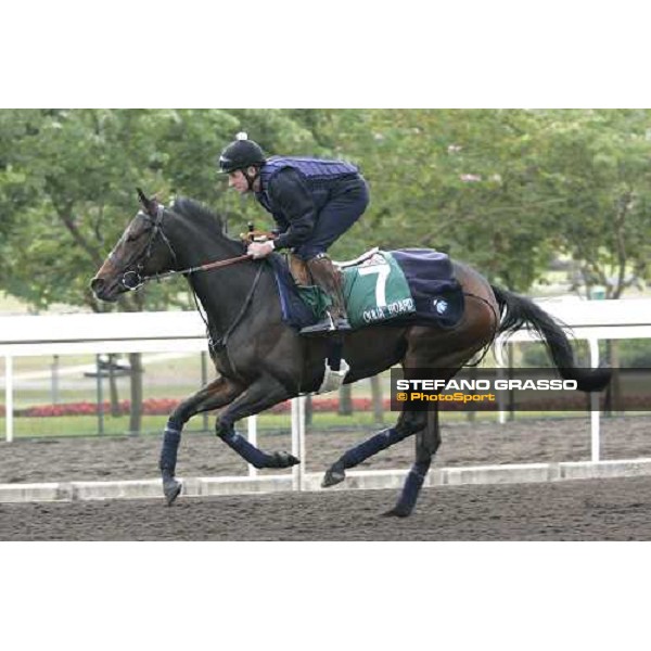 Oujia Board during morning works at Sha Tin race track Hong Kong, 9th dec. 2005 ph. Stefano Grasso