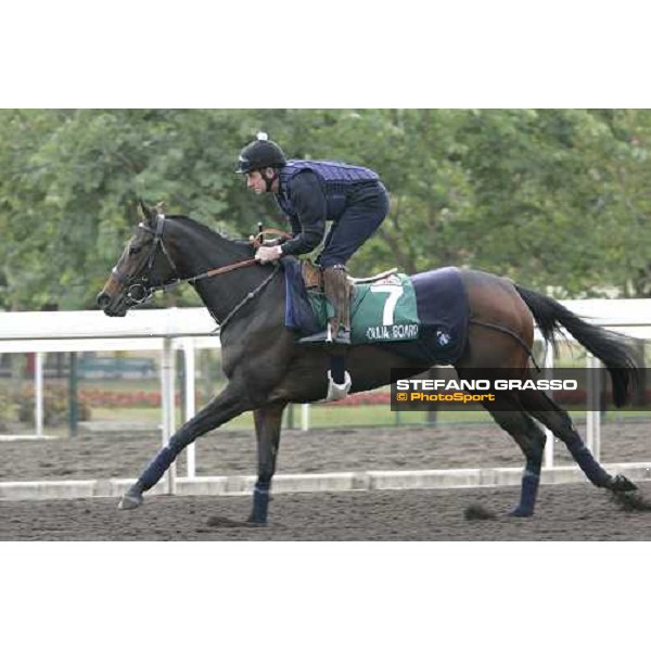 Oujia Board during morning works at Sha Tin race track Hong Kong, 9th dec. 2005 ph. Stefano Grasso