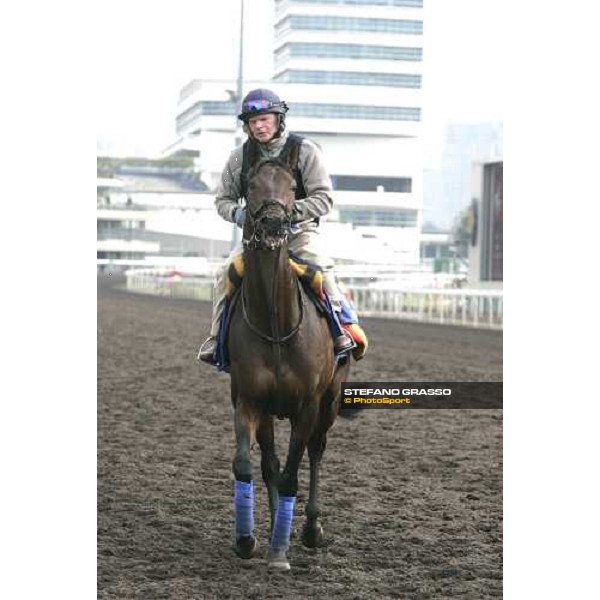 Rakti comes back after morning works at Sha Tin race track Hong Kong, 9th dec. 2005 ph. Stefano Grasso