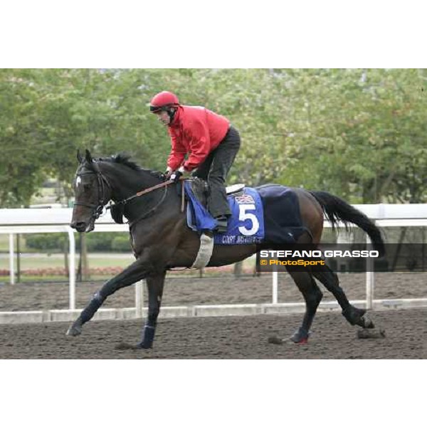 Kieren Fallon training on Court Masterpiece during morning works at Sha Tin race track Hong Kong, 9th dec. 2005 ph. Stefano Grasso