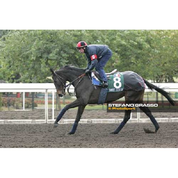 Thierry Gillet on Sweet Stream during morning works at Sha Tin race track Hong Kong, 9th dec. 2005 ph. Stefano Grasso