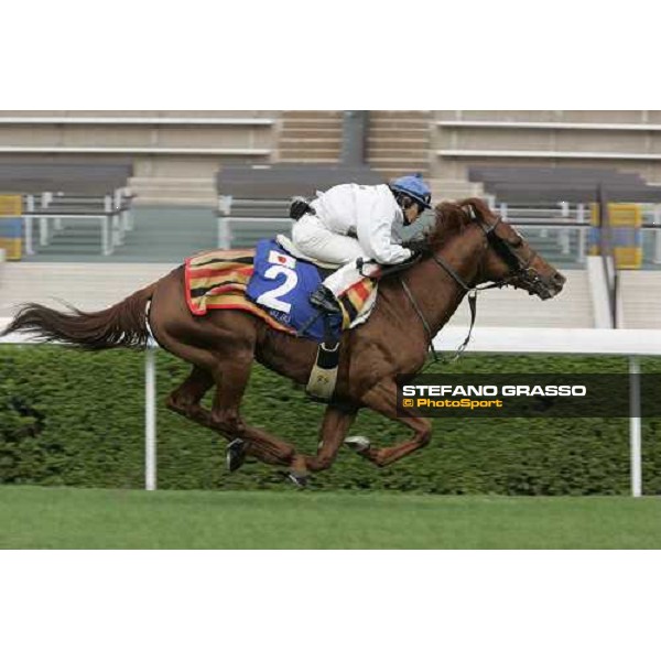 Asakusa Den\'En during morning works at Sha Tin race track Hong Kong, 9th dec. 2005 ph. Stefano Grasso