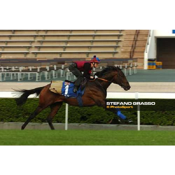 Philip Robinson on Rakti gallops at Sha Tin race track Kong Kong, 9th dec. 2005 ph. Stefano Grasso