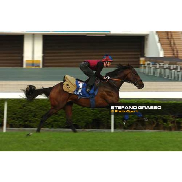 Philip Robinson on Rakti gallops at Sha Tin race track Kong Kong, 9th dec. 2005 ph. Stefano Grasso