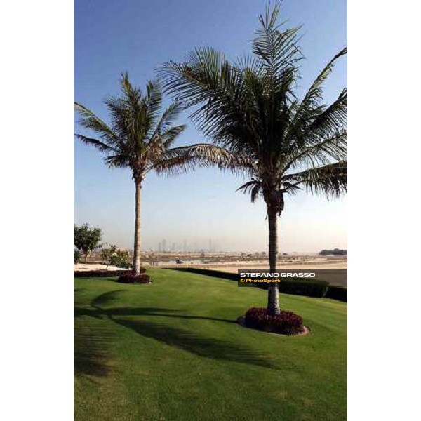 Godolphin morning Al Quoz, wednesday, 24th march 2004 ph. Stefano Grasso