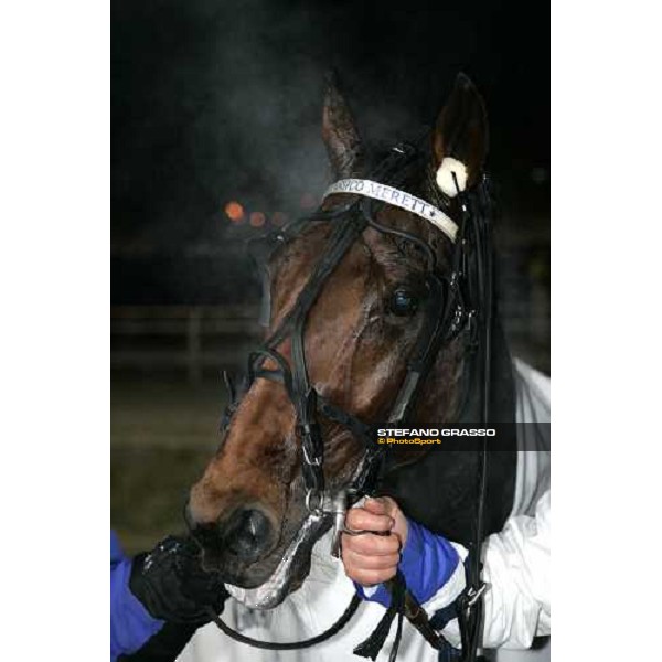 close up for Classico Merett winner of Gran Premio Encat at San Siro Milan, 14th january 2006 ph. Stefano Grasso