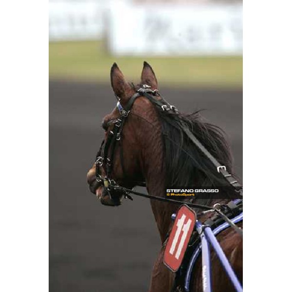 Arc de Triomphe after the race Paris Vincennes, 28th january 2006 ph. Stefano Grasso