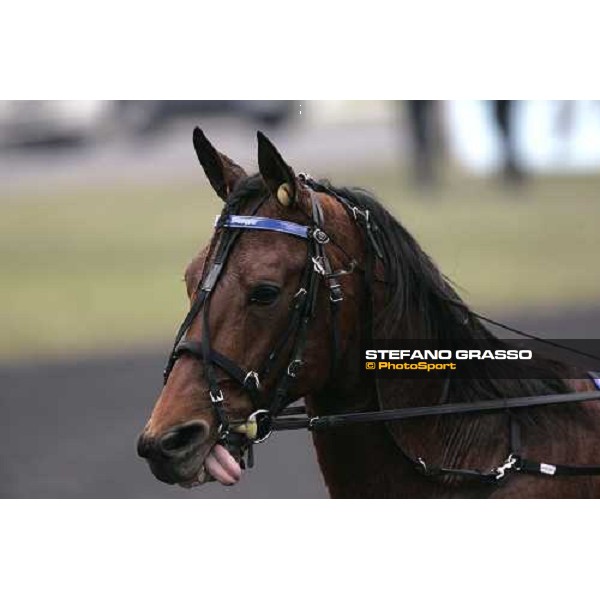 Arc de Triomphe after the race Paris Vincennes, 28th january 2006 ph. Stefano Grasso