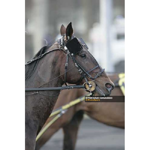 Jag de Bellouet goes to the start of 85¡ Grand Prix d\' Amerique Paris, 29th january 2006 ph. Stefano Grasso