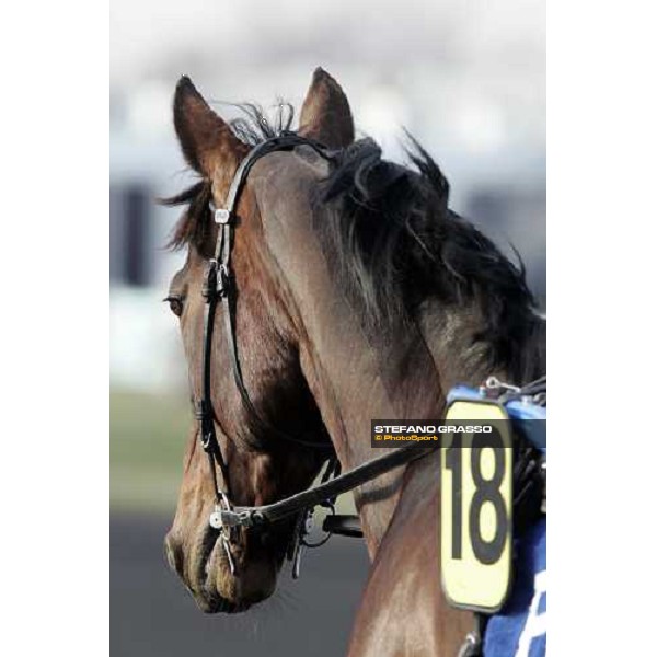 close up for Jag de Bellouet preparing for morning warm up Paris, 29th january 2006 ph. Stefano Grasso