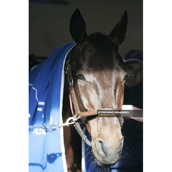 close up for Jag de Bellouet before the race Paris, 29th january 2006 ph. Stefano Grasso