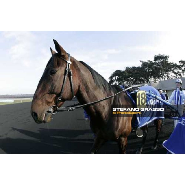 Christophe Gallier winner of 85¡ Grand Prix d\' Amerique, prepares with Jag de Bellouet for morning warm up Paris, 29th january 2006 ph. Stefano Grasso