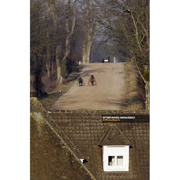 horses in training at Grosbois Paris Vincennes, 29th january 2006 ph. Stefano Grasso