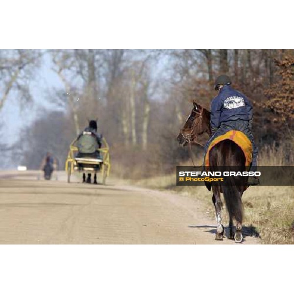 horses in training at Grosbois Paris Vincennes, 29th january 2006 ph. Stefano Grasso