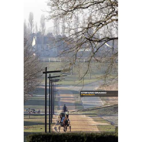 horses in training at Grosbois Paris Vincennes, 29th january 2006 ph. Stefano Grasso