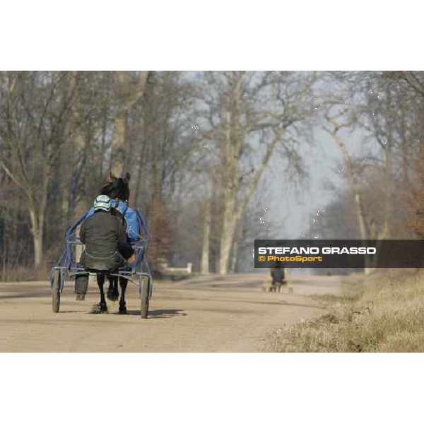 Marco Smorgon with Eclisse Deimar in training at Grosbois Paris Vincennes, 29th january 2006 ph. Stefano Grasso