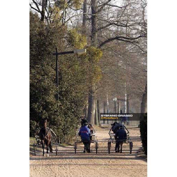 horse in training at Grosbois Paris Vincennes, 29th january 2006 ph. Stefano Grasso