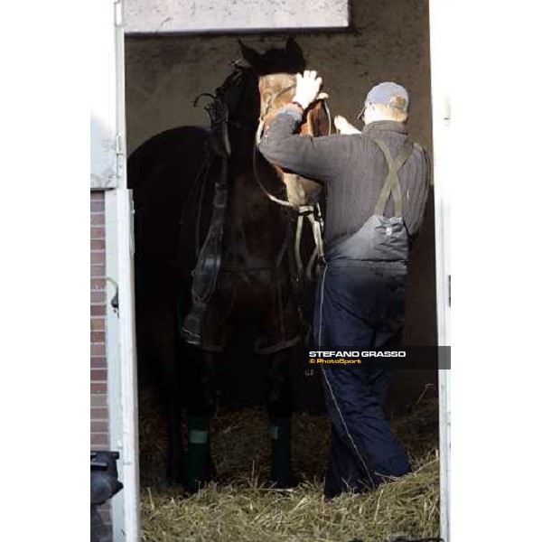 horse in training at Grosbois Paris Vincennes, 29th january 2006 ph. Stefano Grasso