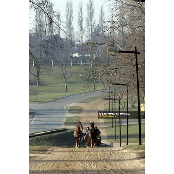 horses in training at Grosbois Paris Vincennes, 29th january 2006 ph. Stefano Grasso