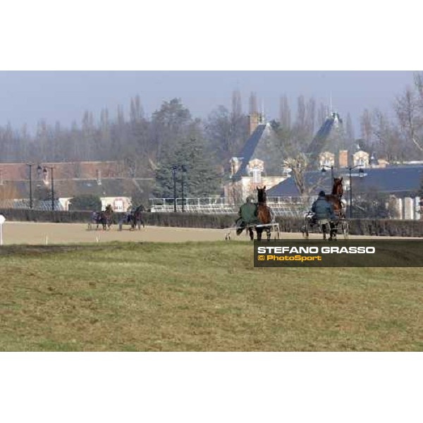 horses in training at Grosbois Paris Vincennes, 29th january 2006 ph. Stefano Grasso