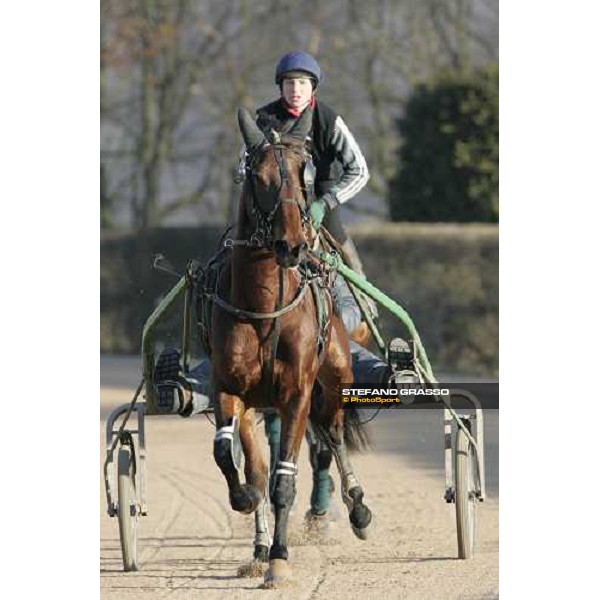 horses in training at Grosbois Paris Vincennes, 29th january 2006 ph. Stefano Grasso