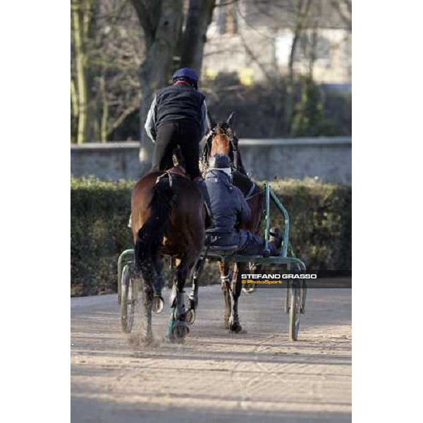 horses in training at Grosbois Paris Vincennes, 29th january 2006 ph. Stefano Grasso