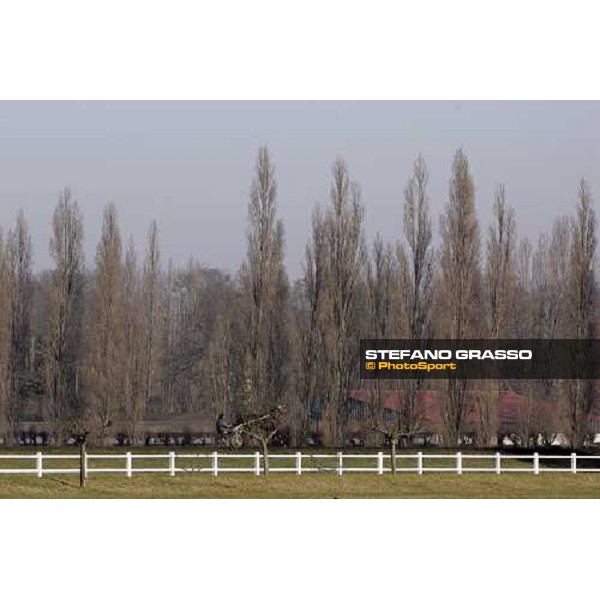 horse in training at Grosbois Paris Vincennes, 29th january 2006 ph. Stefano Grasso