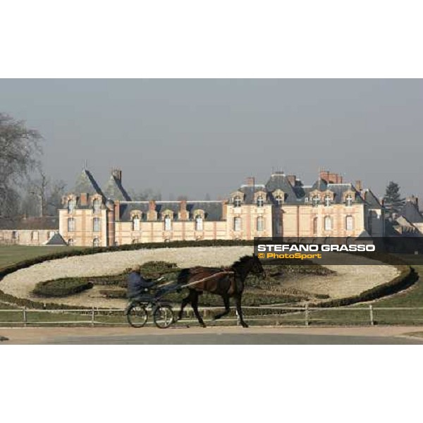 horse in training at Grosbois Paris Vincennes, 29th january 2006 ph. Stefano Grasso