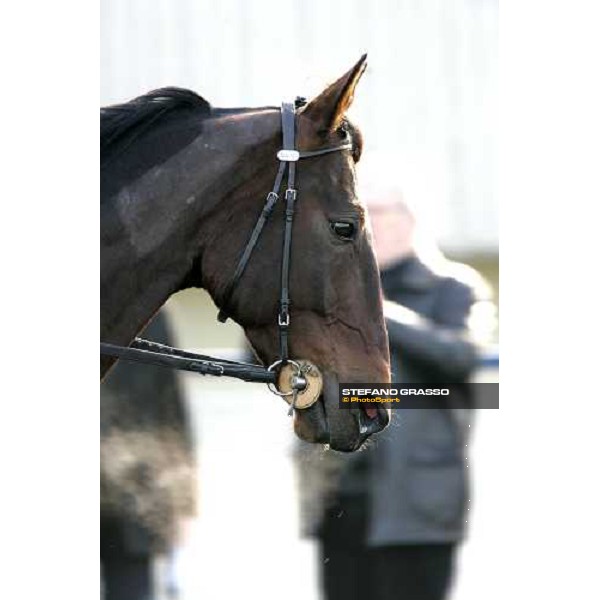 Jag de Bellouet during morning warm up Paris Vincennes, 29th january 2006 ph. Stefano Grasso