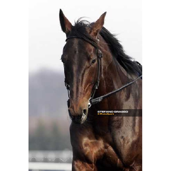 Jag de Bellouet during morning warm up Paris Vincennes, 29th january 2006 ph. Stefano Grasso