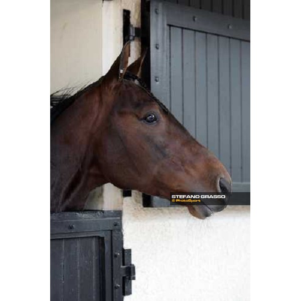 Malabar Circle As Paris Vincennes, 29th january 2006 ph. Stefano Grasso