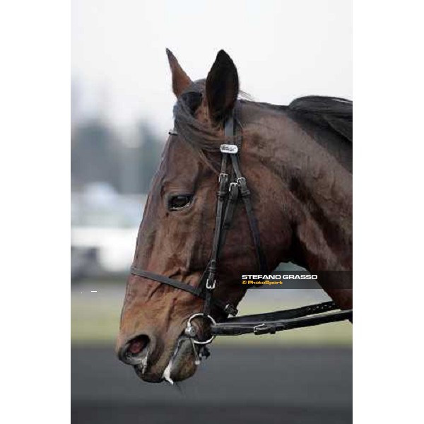 close up for Jag de Bellouet during morning warm up Paris Vincennes, 29th january 2006 ph. Stefano Grasso