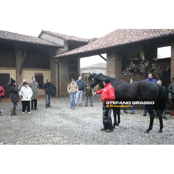 Andreas Jacobs and Fabrizio Bonelli look Sumitas at Montecucco Stud. Codogno (Lo), 18th february 2006 ph. Stefano Grasso