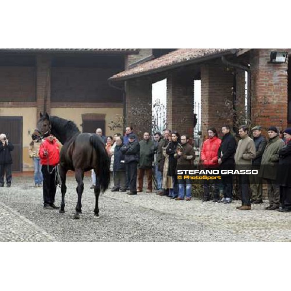 the guests looks Roi Danzig at Montecucco Stud. Codogno (Lo), 18th february 2006 ph. Stefano Grasso