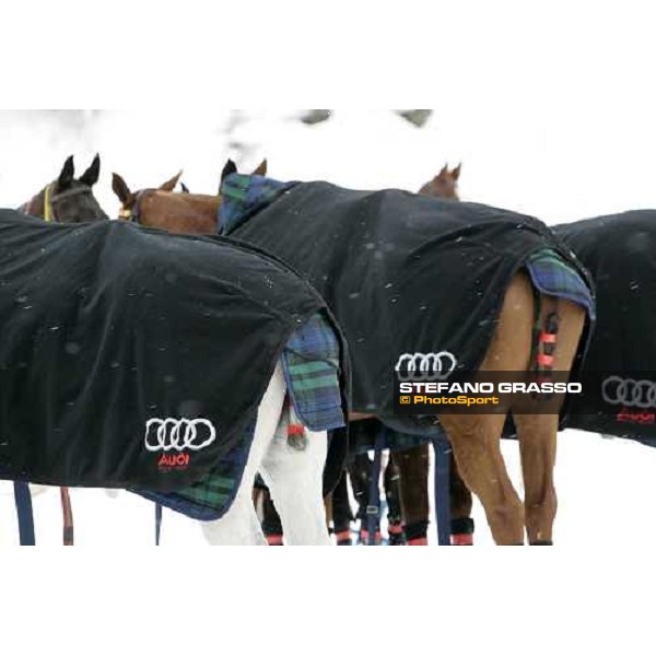 Audi Cortina Winter Polo Cup Jager-LeCoultre Gold Cup Cortina, 23 febbraio 2006 ph.Stefano Grasso