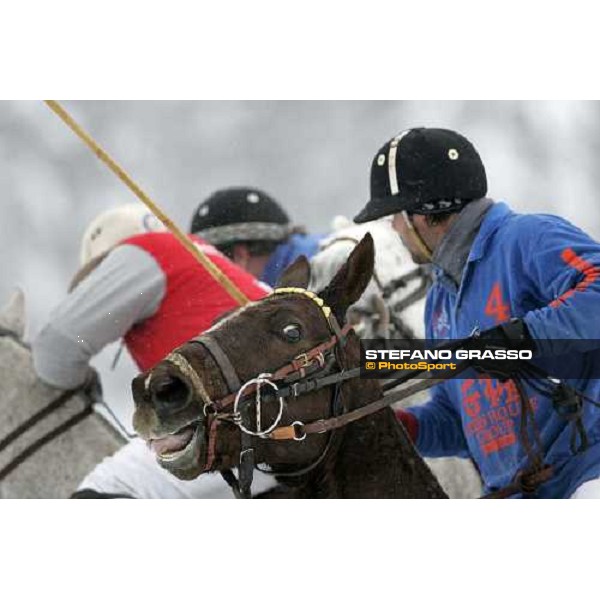 Green House vs. Jaeger-LeCoultre Cortina Winter Polo Jaeger-LeCoultre Gold cup Cortina, 25 febbraio 2006 ph. Stefano Grasso