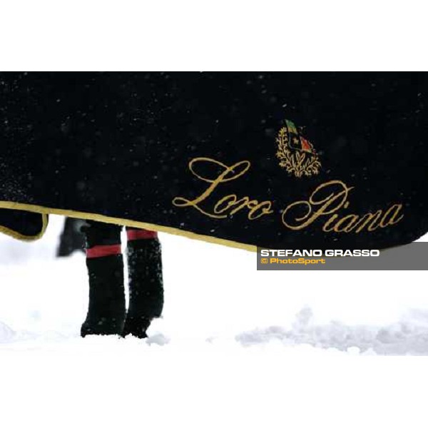 Loro Piana Cortina Winter Polo Cup 2006 25 febbraio 2006 ph. Stefano Grasso