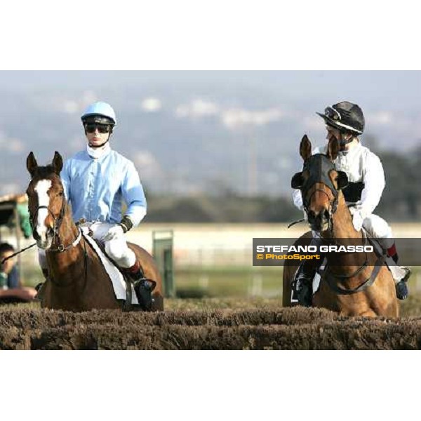 the horses go to the start of LVI Gran Corsa Siepi di Roma - Kheops Quercus e Ange de Beaumont Roma, 19th february 2006 ph. Stefano Grasso