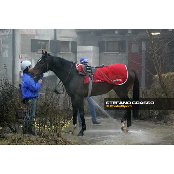 washing a horse after morning works at San Siro Milan, 17th february 2006 ph. Stefano Grasso