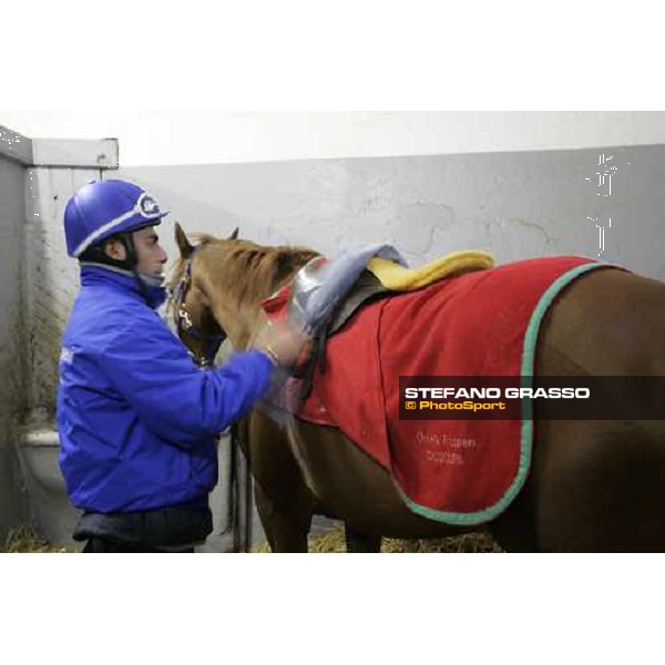 Team Dioscuri - Alessandro Botti prepares a horse for morning works at San Siro Milan, 17th february 2006 ph. Stefano Grasso