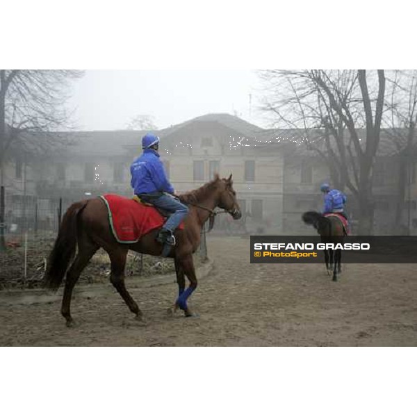 Team Dioscuri - morning works at San Siro Milan, 17th february 2006 ph. Stefano Grasso