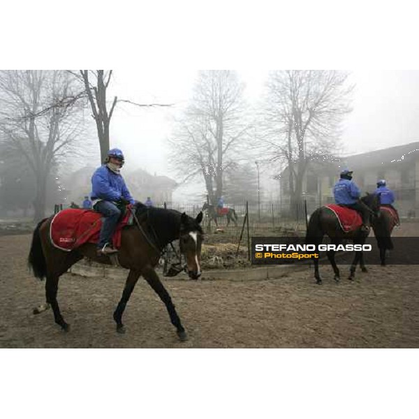 Team Dioscuri - morning works at San Siro Milan, 17th february 2006 ph. Stefano Grasso