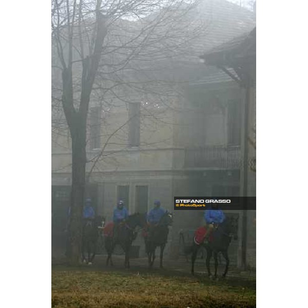 Team Dioscuri - morning works at San Siro Milan, 17th february 2006 ph. Stefano Grasso