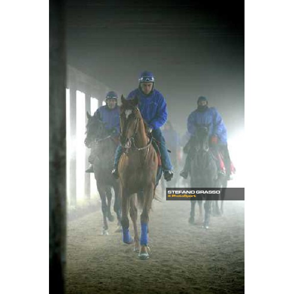 Alessandro Botti - Team Dioscuri leads the group during morning works at San Siro Milan, 17th february 2006 ph. Stefano Grasso