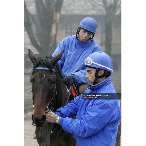 Team Dioscuri - Alessandro Botti prepare a horse for morning works at San Siro Milan, 17th february 2006 ph. Stefano Grasso