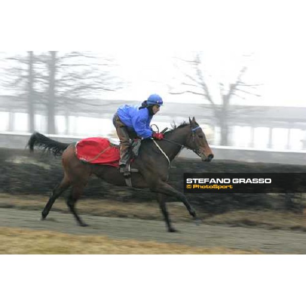 Team Dioscuri - morning works at San Siro Milan, 17th february 2006 ph. Stefano Grasso