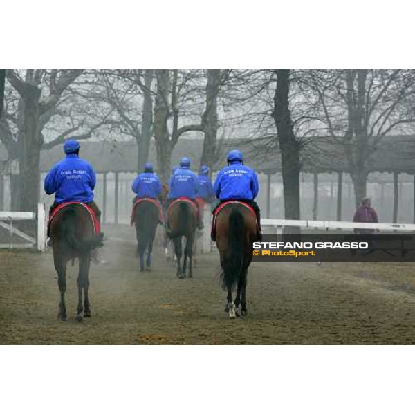 Team Dioscuri - morning works at San Siro Milan, 17th february 2006 ph. Stefano Grasso