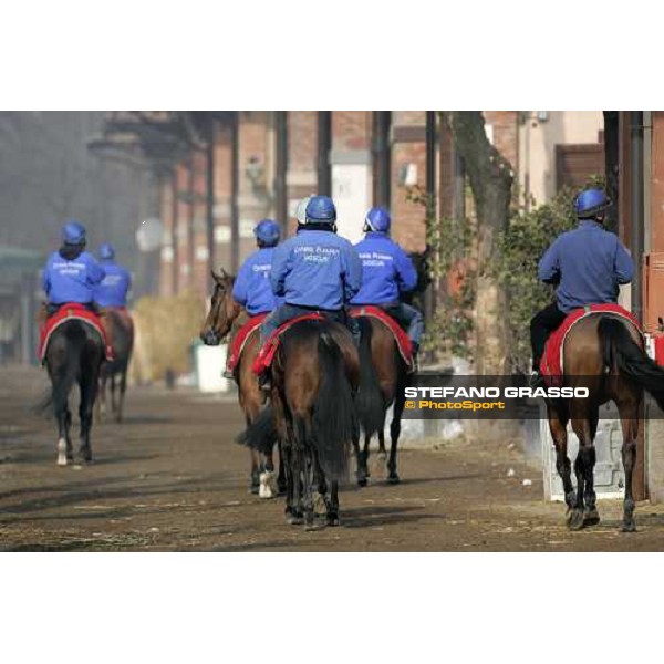 Team Dioscuri - morning works at San Siro Milan, 17th february 2006 ph. Stefano Grasso