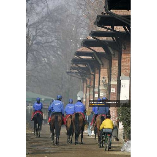 Team Dioscuri - morning works at San Siro Milan, 17th february 2006 ph. Stefano Grasso