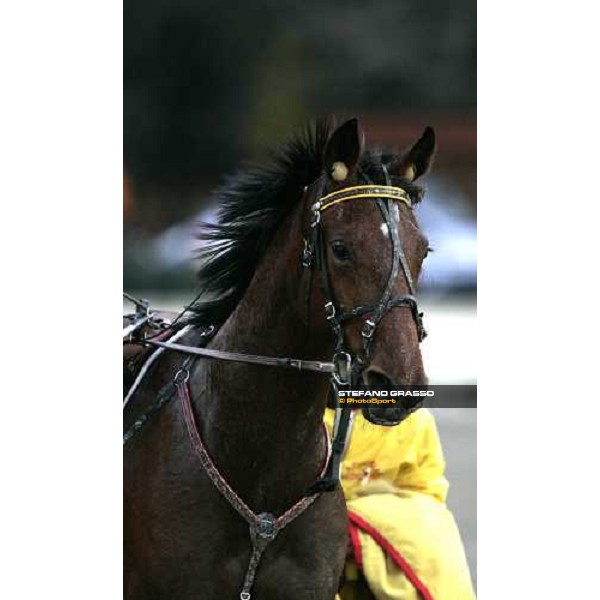 a close up for Gloria Gaynor winner of Premio Beatrice Firenze, 5th march 2006 ph. Stefano Grasso